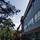 성주카병원 이미지