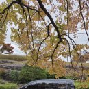 수풍로23번길 | 인천공항콜밴 가격 · 김포공항콜밴 가격 합리적인 공항스카이점보콜밴 이용 후기