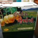 동광농장 이미지