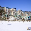 소노펠리체 이미지