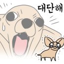 스멜로우 - 진주시 신평공원길57번길 18-4 | 스멜로우
