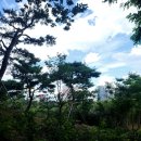 남원읍 동부노인복지회관 게이트볼장 앞 | 황금 땅값 강남요지 봉은사의 '명상길' 힐링 산책(2)