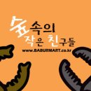 숲속Mart