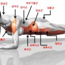 핑크덤벨 이미지