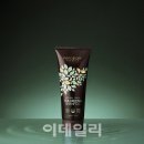 일진내추럴 이미지