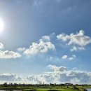 산본스 | 군산CC 토너먼트코스 10월라운드후기