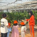 주산초병설유치원 이미지