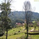 에델바이스 이미지