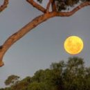 별이되다 이미지