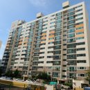 하단동1175 이미지