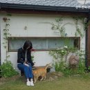 경주한옥펜션 소소가 이미지