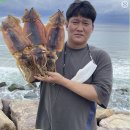저동 수협 위판장 이미지