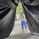 느티나무유치원 | 군포 | 초막골생태공원 느티나무야영장 자갈33번 캠프닉