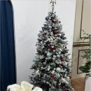 담다스튜디오 이미지