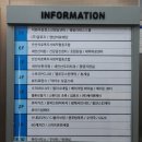 월피공원 주차장 | [안산] 꽃 피는 화덕피자 D485 월피공원점_피자 맛집
