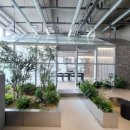 삼청약국 | 역삼동 복층 오피스텔 월세 추천 | 에피소드 강남 262 소개