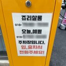 쥬리살롱