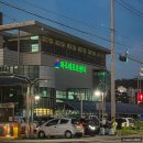 마곡레포츠센터 마곡실내배드민턴장 수강신청 방법 비용 및 첫 레슨 후기