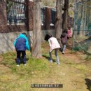 정자공원 테니스장1