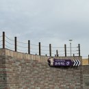 황소목장 | [서산 가볼만한곳] 한국판 월스트리트 황소? '서산 한우목장길' 산책 후기 (feat. 부자 되는 법)