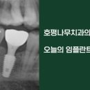 호평나무치과의원 이미지