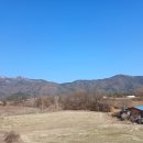 명상으로 치유하는 삶 | [후기] 맨발과 명상의 시간, 계룡산지회 맨발걷기 3주차 강좌 현장