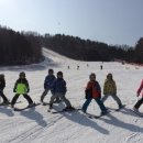 휘닉스 파크 이미지