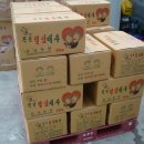 곰님농원 - 26688 | 곰님농원