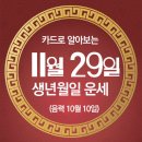 오늘의 운세 --- 2025년 11월 29일(음력 10월 10일) 壬寅 토요일 이미지
