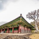 대정향교 이미지