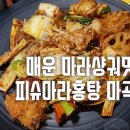 피슈마라홍탕(마곡점) 티스토리