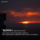 왕산초록빛바다