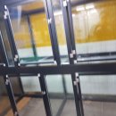 쁘니애견 이미지