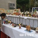 두마면사무소 이미지