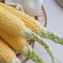 원석농장 이미지