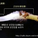 신근열 이미지