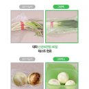 그린통 | 데비마이어 그린박스 반찬통 내돈내산 찐사용후기