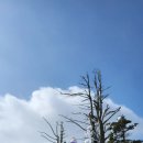 오대산 힐링타운 달빛동 이미지