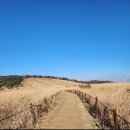 제 85차 야.마.클 정기산행 및 시산제 이미지