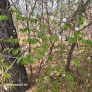 교동 밀양스포츠센터 수영장 이미지