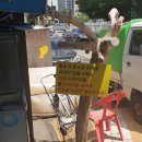 청원신물회 | 상모물회맛집)청원신물회 다녀온 솔찍후기