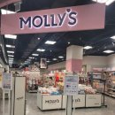 이마트 대전터미널점 몰리스 이미지