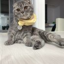 부영3차아파트 이미지