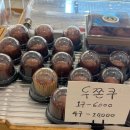 타타스베이글 평택비전점 | 평택 카페 | 타타스베이글 | 채광 맛집 평택 애견 동반 카페 (베이글은 쏘쏘입니다..)