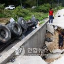 팔미축산