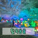 탄용환경 주식회사 | 아이와 충주여행 필수코스 활옥동굴에서 투명보트까지 완벽후기