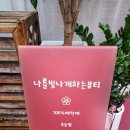 나빛뷰티 이미지