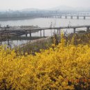 개나리공원2 이미지