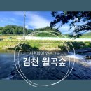 지례초부항분교장 | [대구/구미근교] 아이와가볼만한곳 고디잡을만한곳 냇가 차박 놀만한곳 김천 월곡숲