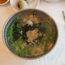 큰골 | 양평 큰골칼국수 반려견 동반 후기 🐶 | 서울 가는 길 들르기 좋은 칼칼한 닭칼국수 맛집